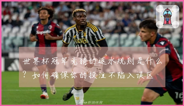 世界杯冠军竞猜的返水规则是什么？如何确保你的投注不陷入误区