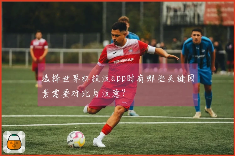 选择世界杯投注app时有哪些关键因素需要对比与注意？